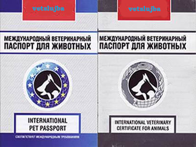 ветпаспорт ветпаспорт