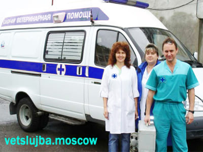 привики щенкам прививки щенкам