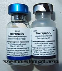 вангард 5 вангард 5