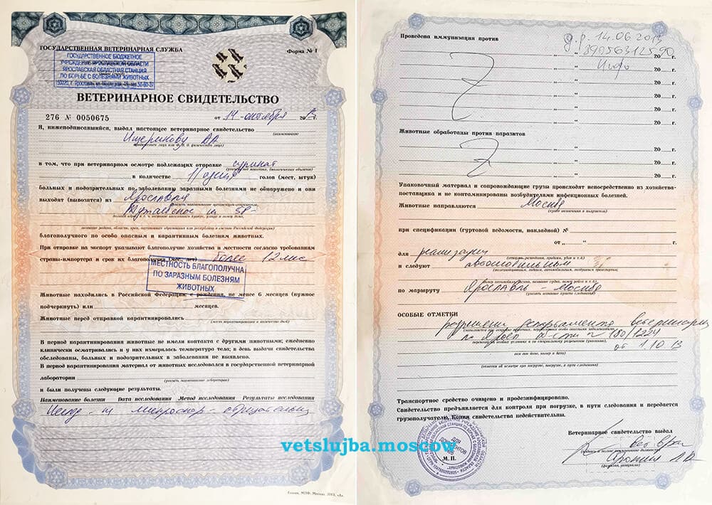 ветеринарное свидетельство форма 1