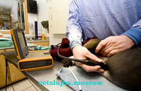 узи собаке на дому узи собаке на дому