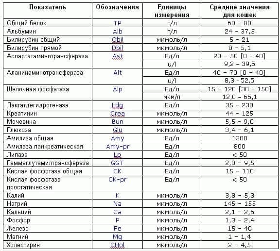 анализ мочи коту