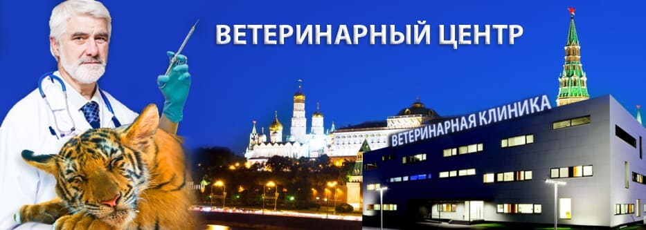 ветеринарный центр