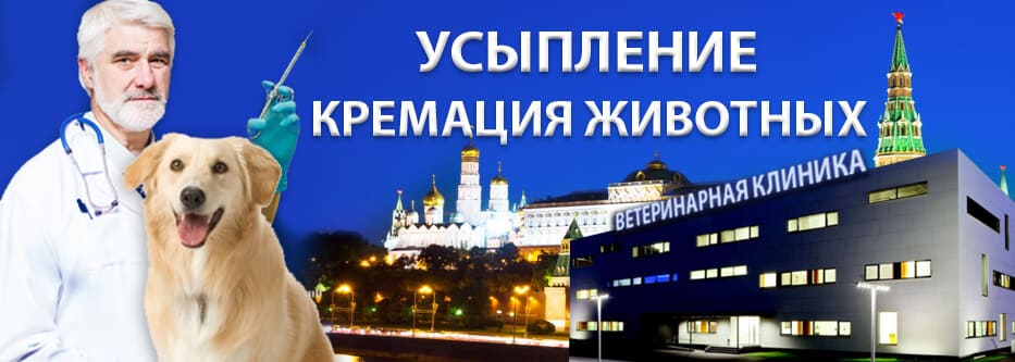 усыпление кремация животных усыпление кремация животных