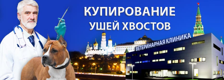 купирование ушей хвостов купирование ушей хвостов