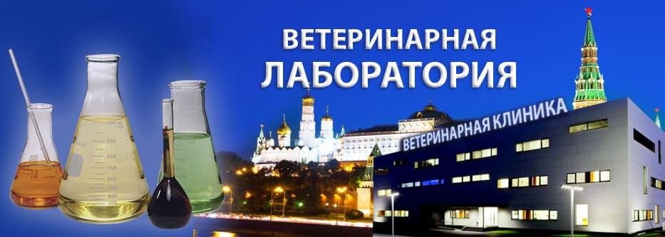 ветеринарная лаборатория ветеринарная лаборатория