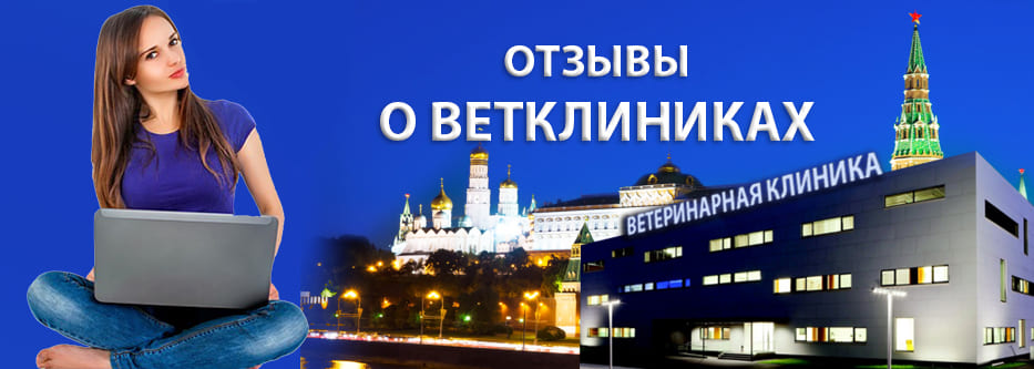 отзывы о ветклиниках