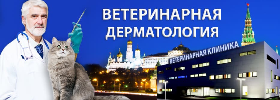 ветеринарная дерматология