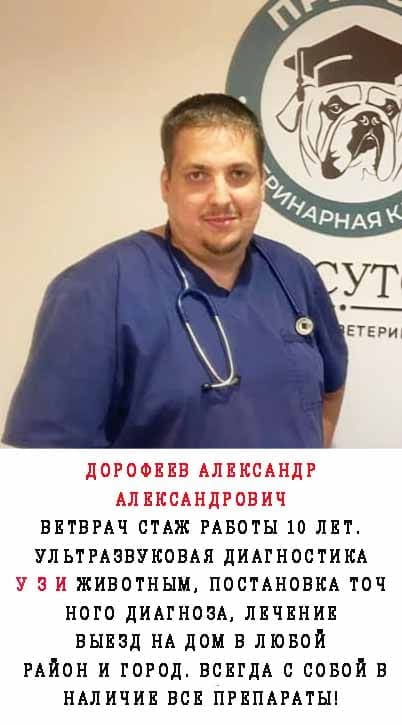 врач врач