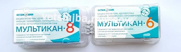 вакцина мультикан 6 вакцина мультикан 6