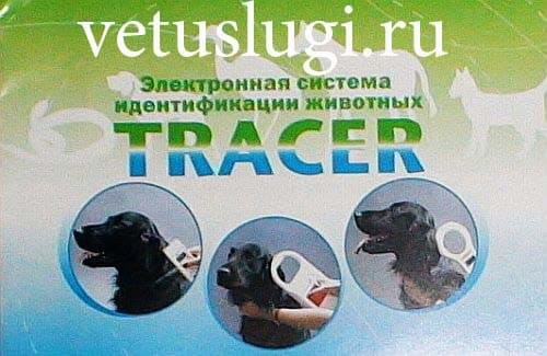 Чипирование собак Чипирование собак