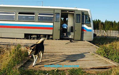 прививка от бешенства задним числом прививка от бешенства задним числом