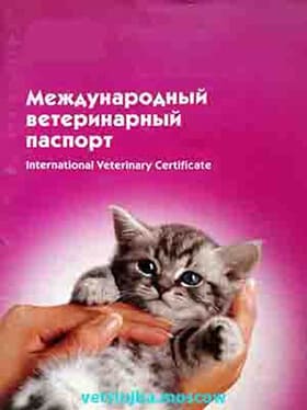 ветеринарный паспорт кошки ветеринарный паспорт кошки