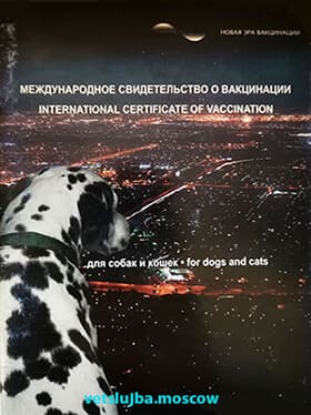 ветпаспорт собаке