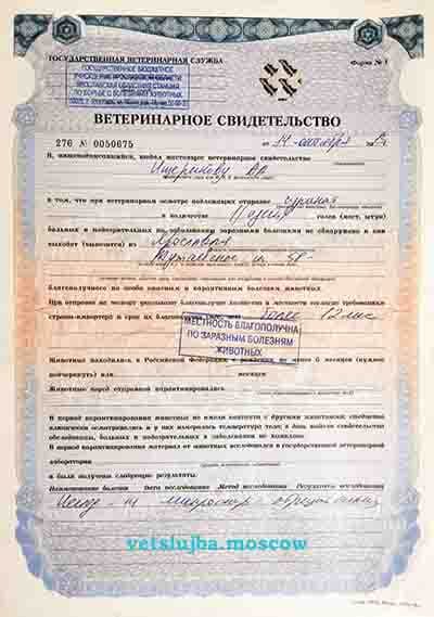 купить справку для перевозки животного