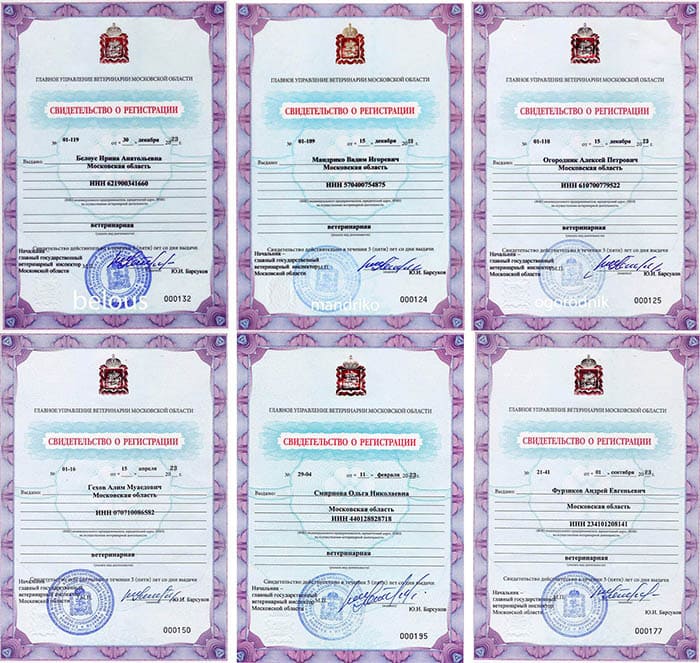 Разрешение на работу
