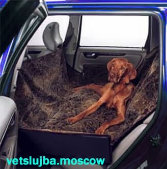 такси для животных такси для животных