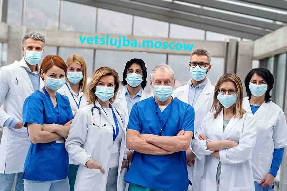 вызов ветеринара на дом