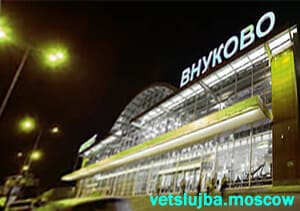 ветеринарный контроль внуково правила перевозки животных