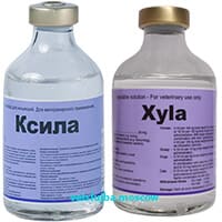 ксила ксила